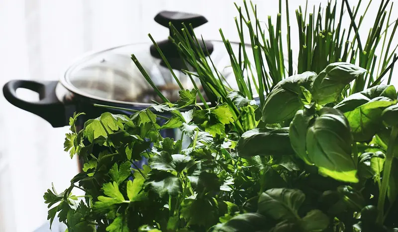 Erbe aromatiche e gambi