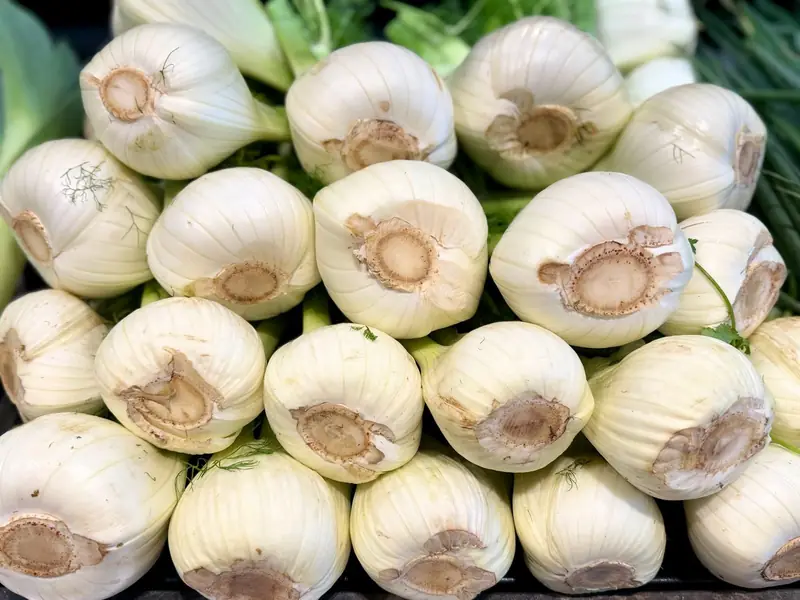Scarti di finocchio