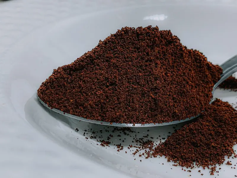 Fondi di caffè