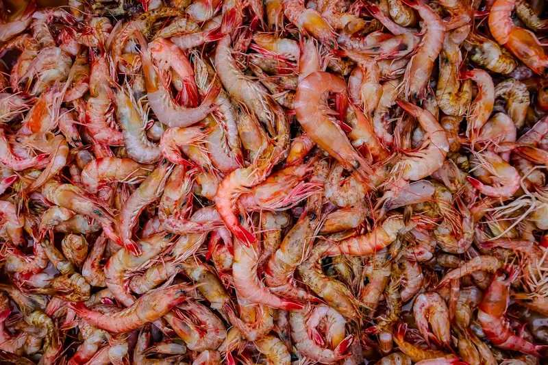 Shrimp shells