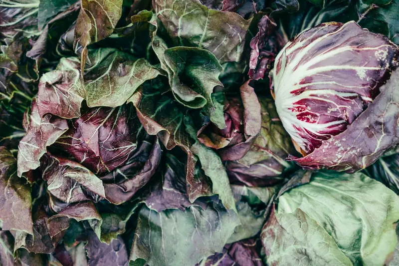 Insalata e cavolo