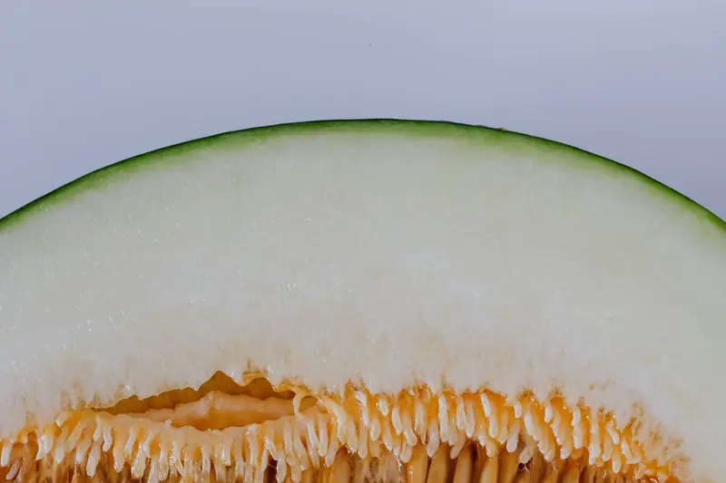 Buccia di melone