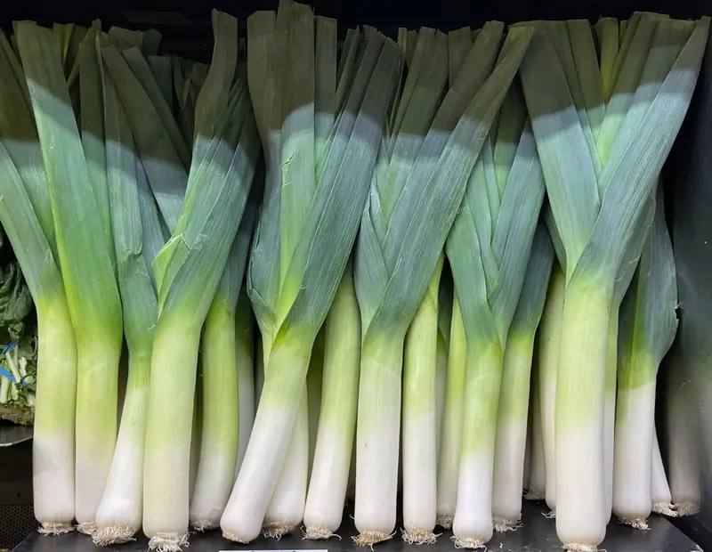Parte verde del porro